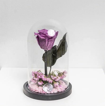 Fleur Eternelle Pars de chez Lilit Fleurs - Livraison de fleurs Bruxelles Fleur Eternelle Pars