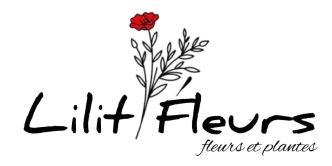 Lilit Fleurs Bruxelles Livraison fleurs