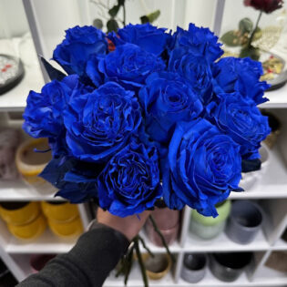 10 roses bleues