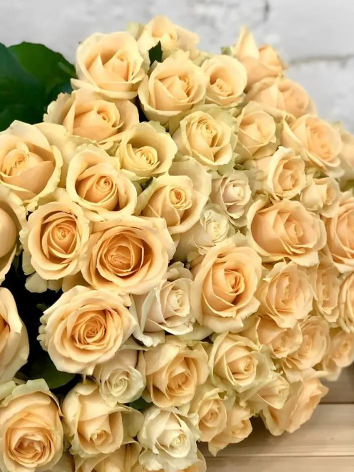 10 roses couleur saumon - Avalanche Peach 10 roses couleur saumon - Avalanche Peach