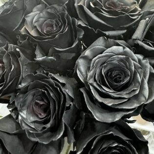 30 roses noires