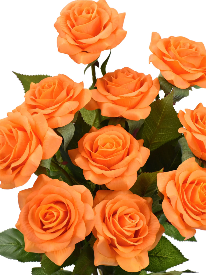 10 roses oranges 10 roses oranges