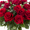 10 roses rouges