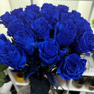 30 roses bleues