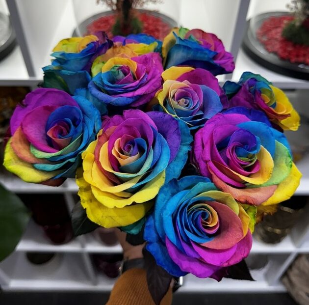 Roses arc-en-ciel