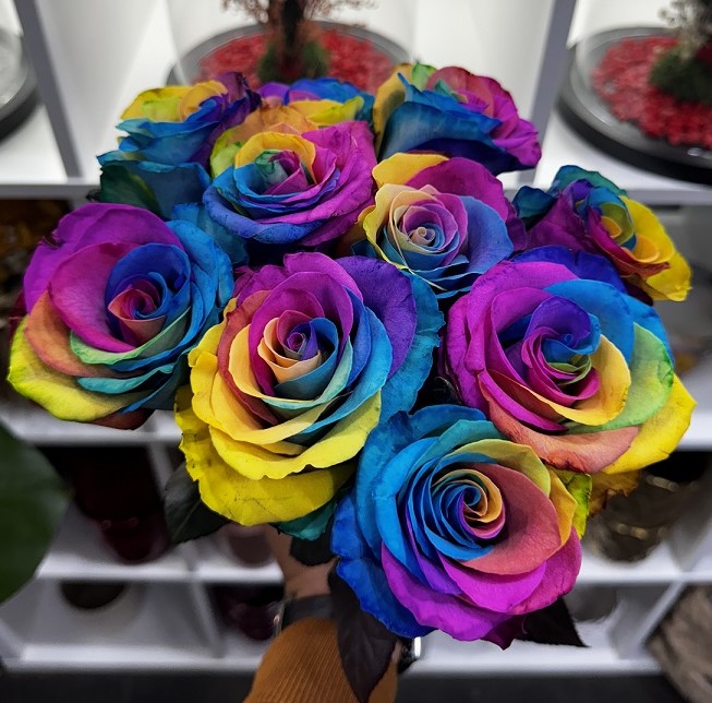 Roses arc-en-ciel
