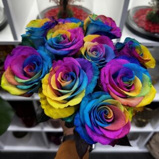 10 roses arc-en-ciel