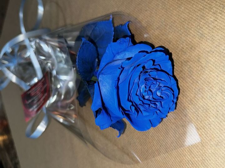 Livraison fleurs Rose bleu Rose bleu