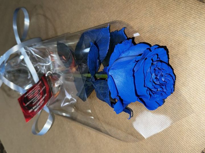 Livraison fleurs Rose bleu Rose bleu
