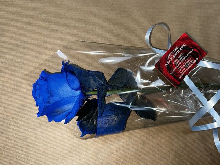 Livraison fleurs Rose bleu Rose bleu
