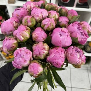 Bouquet d’Été