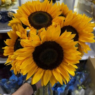 Le bouquet de Tournesols: Soléa