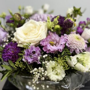 Composition Toussaint