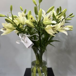 Fleuriste livraison Bruxelles