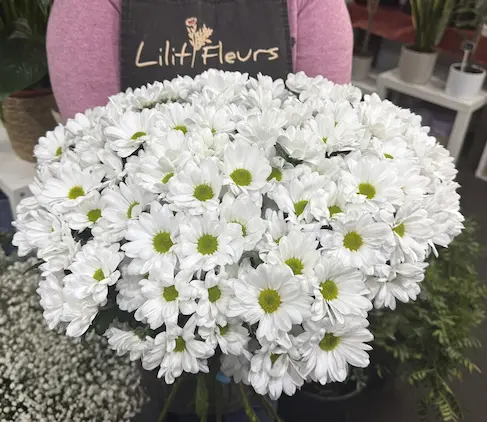 Chrysanthemes-blanches